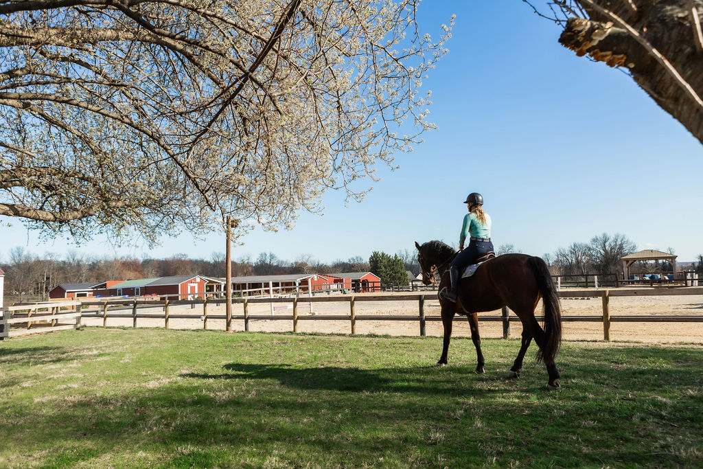 Serene Acres Riding Center facility view with rider in the arena