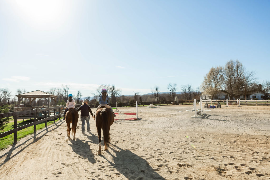Barn life moment at Serene Acres