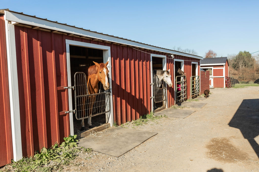 Beautiful Virginia countryside backdrop at Serene Acres