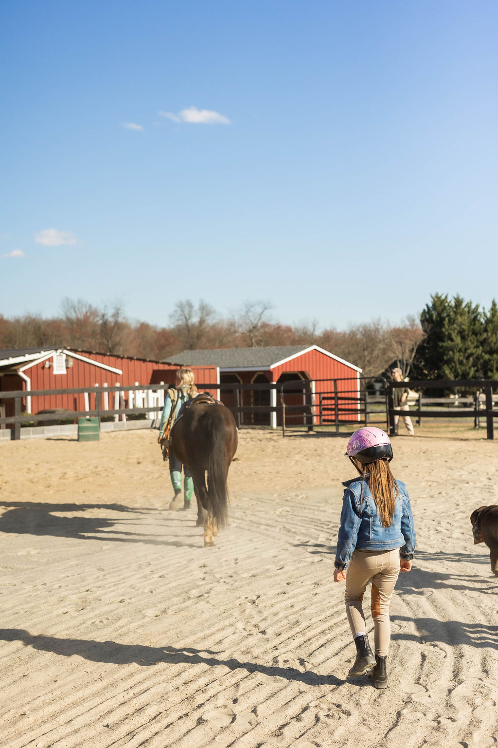 Barn life at Serene Acres